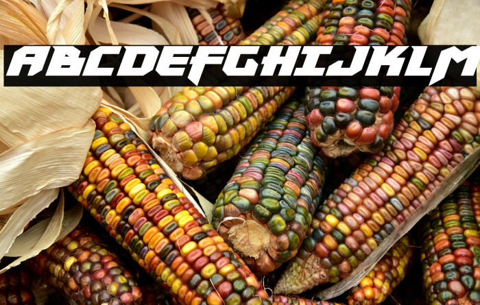 Heavy Copper Super-Italic Example 2