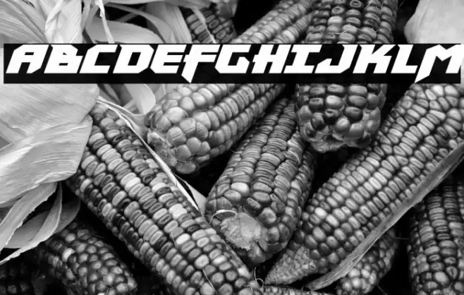 Heavy Copper Super-Italic Font examples