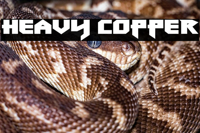 Heavy Copper Example 2