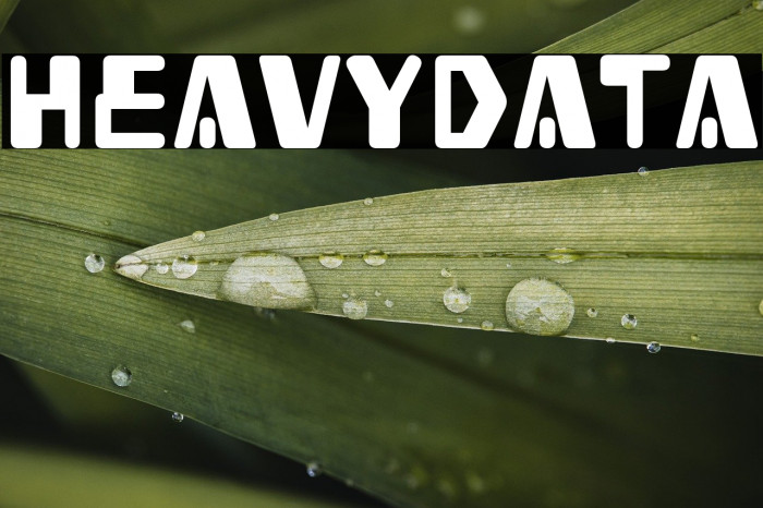 Heavy Data Example 2