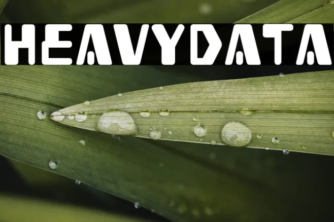 Heavy Data Example 2