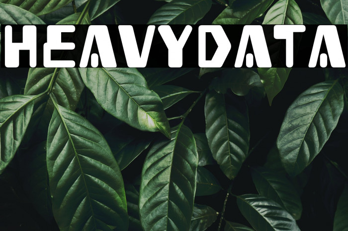 Heavy Data Example 3