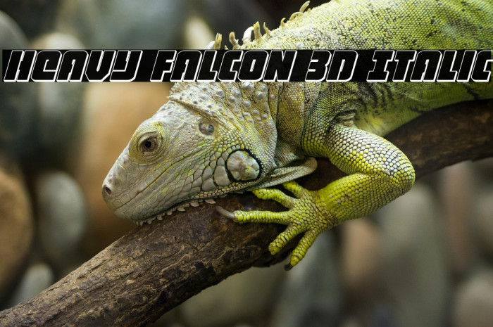 Heavy Falcon 3D Italic Example 3