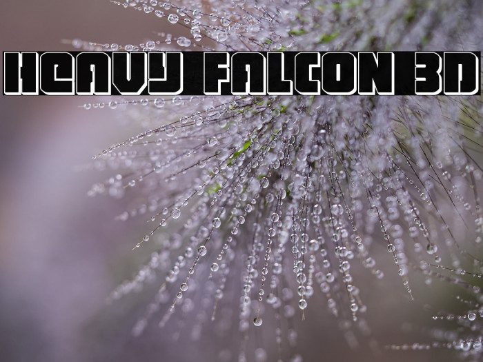 Heavy Falcon 3D Example 2