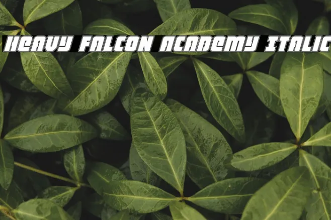 Heavy Falcon Academy Italic Example 1