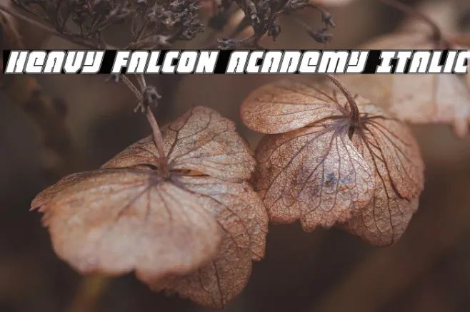 Heavy Falcon Academy Italic Example 2