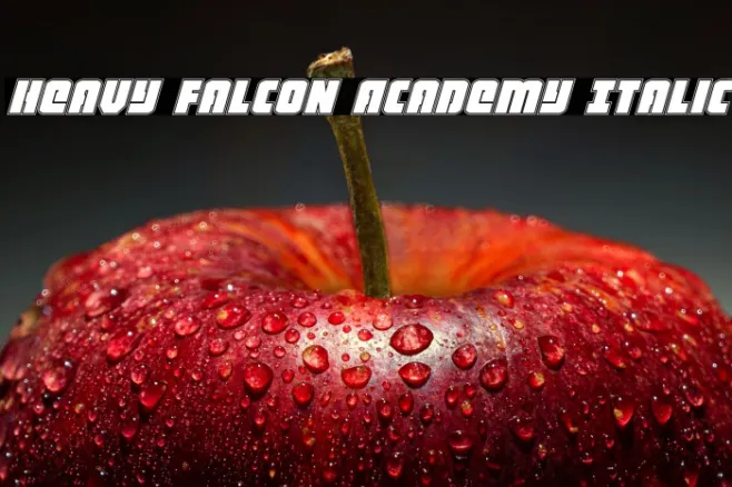 Heavy Falcon Academy Italic Example 3