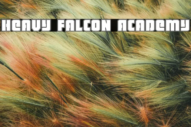 Heavy Falcon Academy Example 1