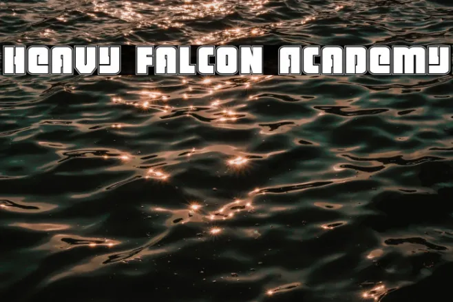 Heavy Falcon Academy Example 2