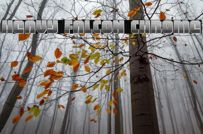 Heavy Falcon Chrome Example 3