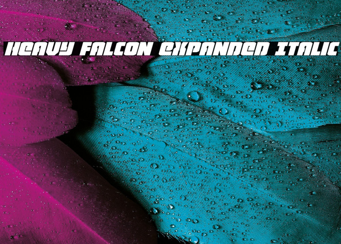 Heavy Falcon Expanded Italic Example 1