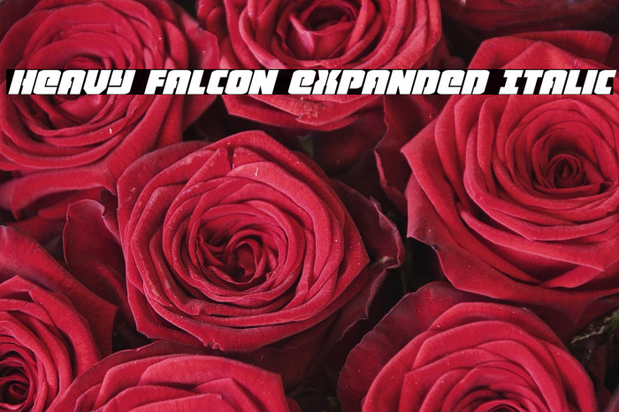 Heavy Falcon Expanded Italic Example 3