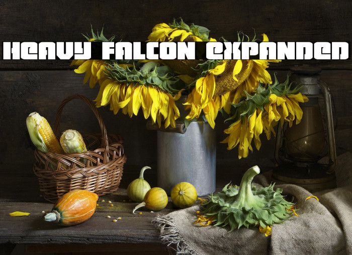 Heavy Falcon Expanded Example 2