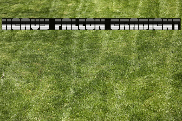 Heavy Falcon Gradient Example 1