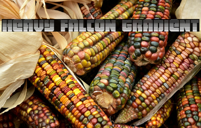 Heavy Falcon Gradient Example 2