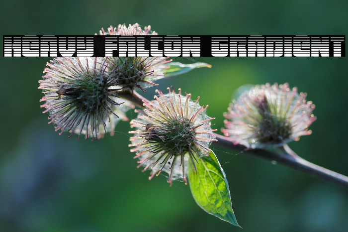 Heavy Falcon Gradient Example 3