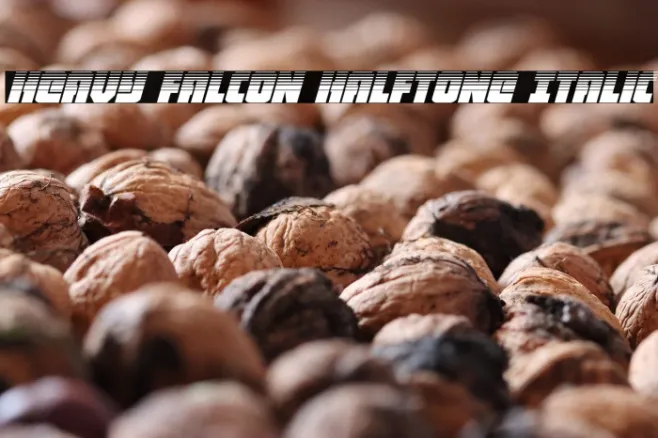 Heavy Falcon Halftone Italic Example 2