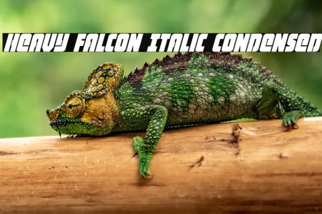 Heavy Falcon Italic Condensed Example 3