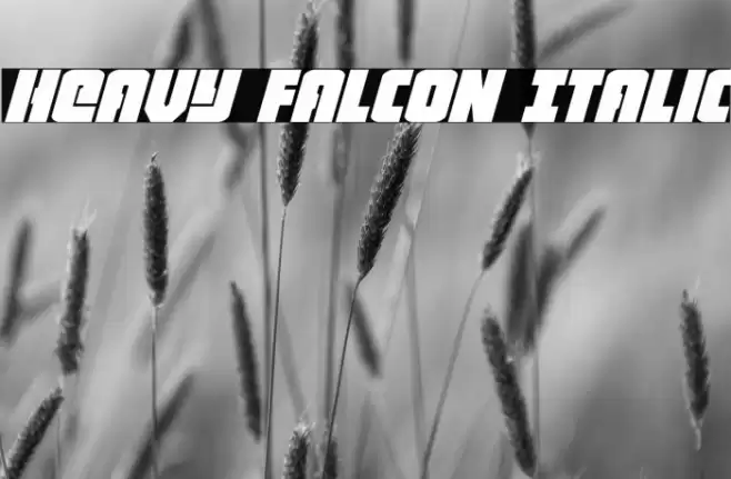 Heavy Falcon Italic Font examples