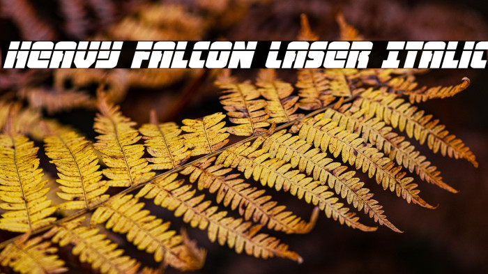 Heavy Falcon Laser Italic Example 2