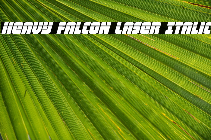 Heavy Falcon Laser Italic Example 3