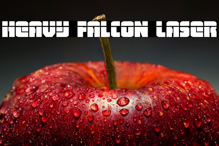 Heavy Falcon Laser Example 1