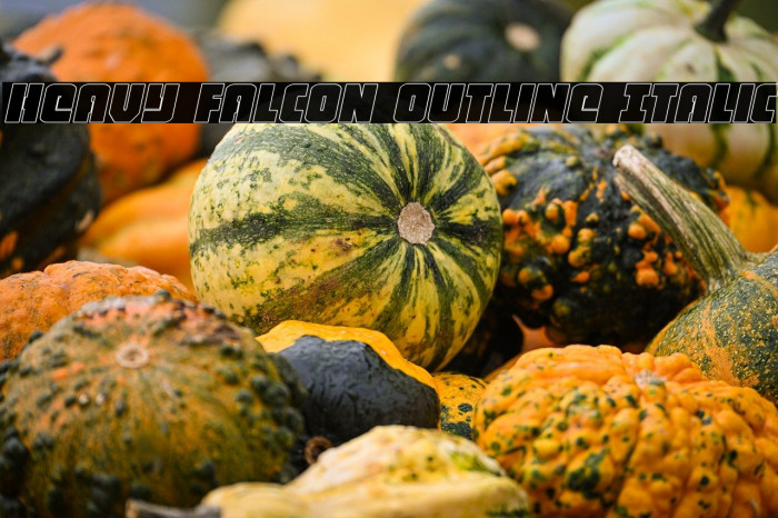 Heavy Falcon Outline Italic Example 3