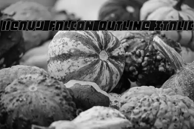 Heavy Falcon Outline Italic Font examples