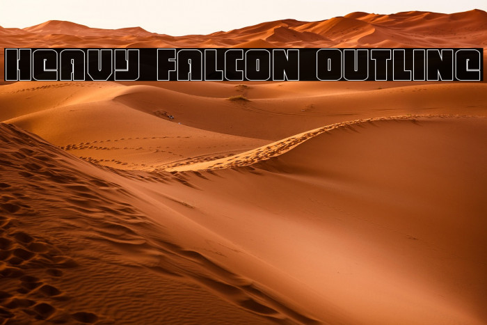 Heavy Falcon Outline Example 1