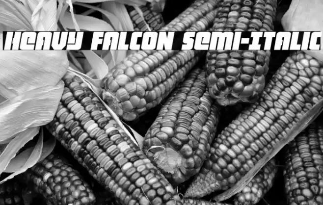 Heavy Falcon Semi-Italic Font examples