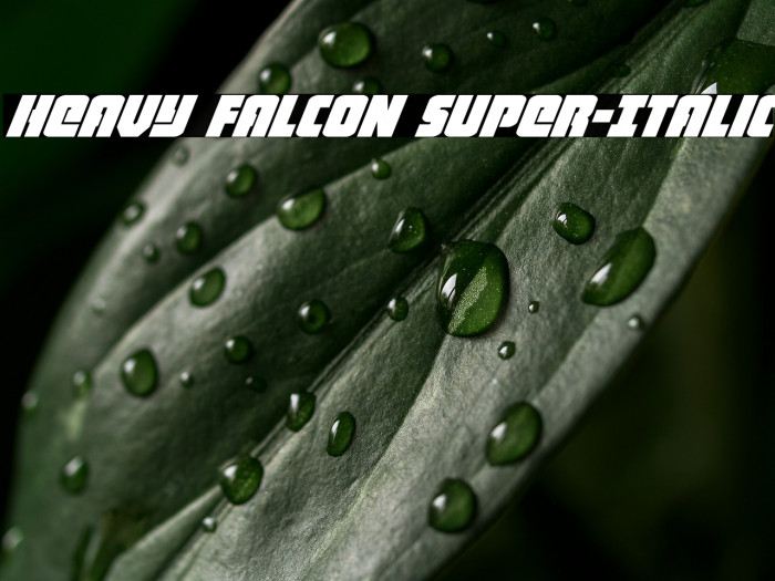 Heavy Falcon Super-Italic Example 1
