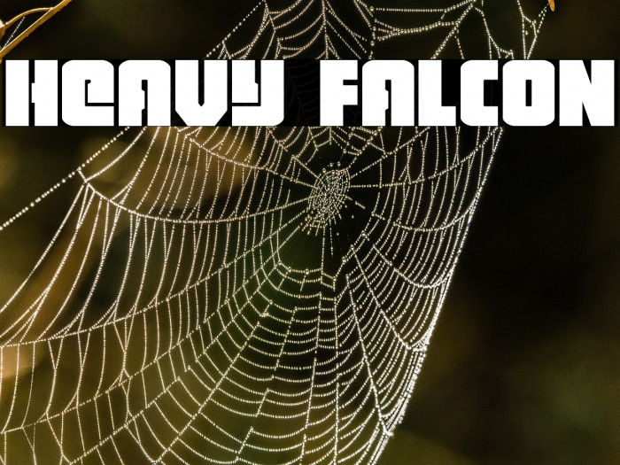 Heavy Falcon Example 1