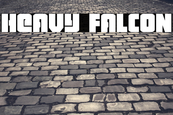 Heavy Falcon Example 2