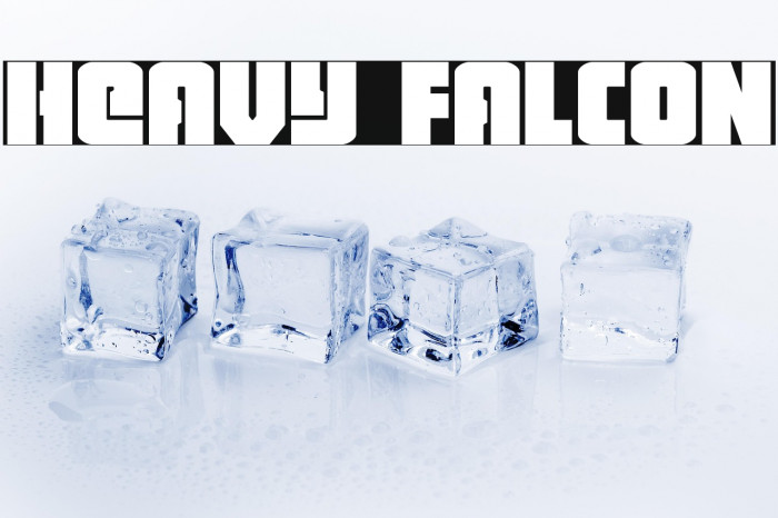 Heavy Falcon Example 3