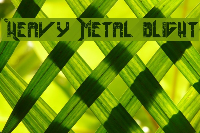 Heavy Metal Blight Font examples