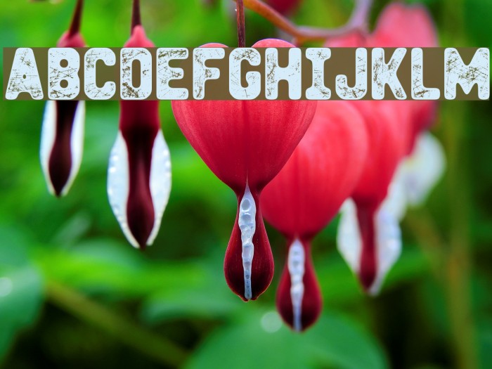 Heavy Metal Box Example 1