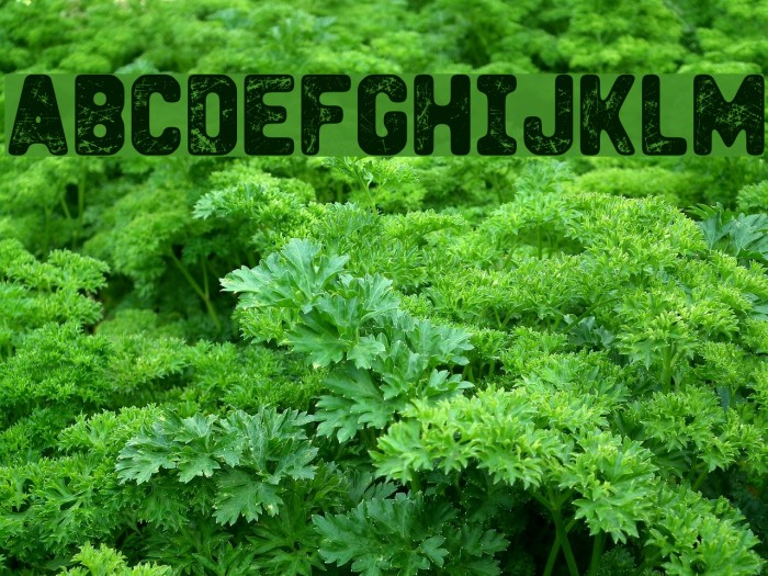 Heavy Metal Box Example 3