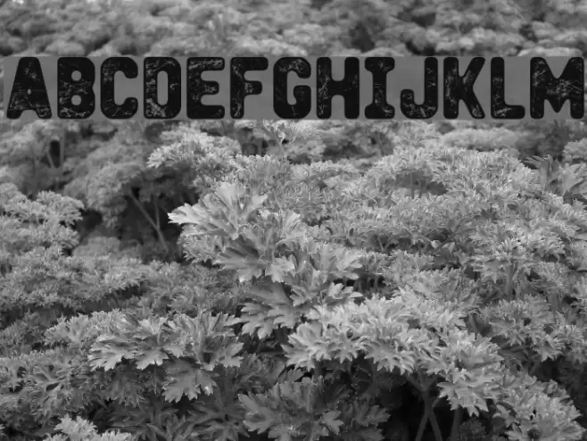 Heavy Metal Box Font examples