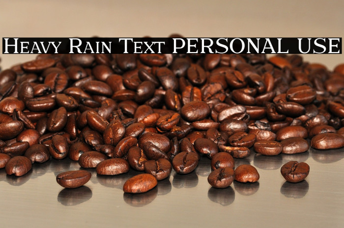 Heavy Rain Text PERSONAL USE Example 2