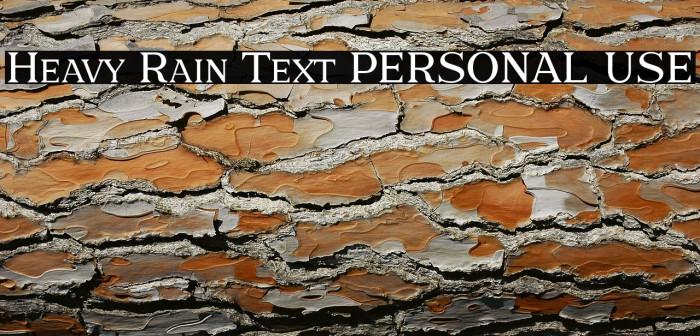 Heavy Rain Text PERSONAL USE Example 3