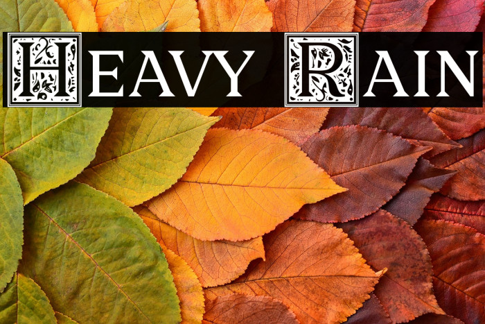 Heavy Rain Example 1