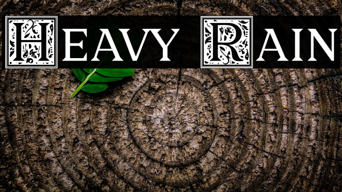 Heavy Rain Example 2