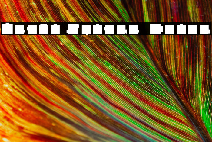 Heavy Square  Color Example 1