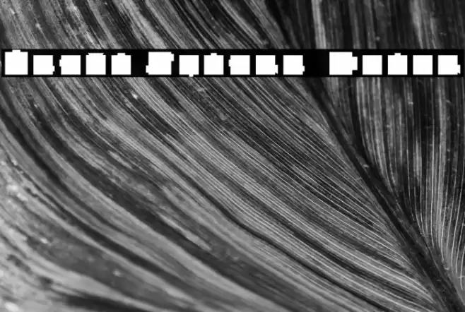 Heavy Square  Color Font examples