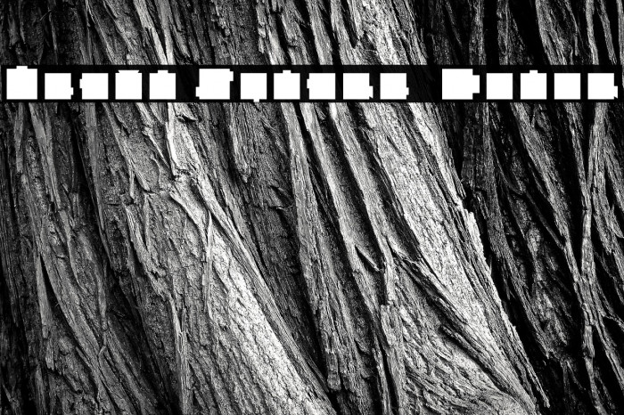 Heavy Square  Color Example 3