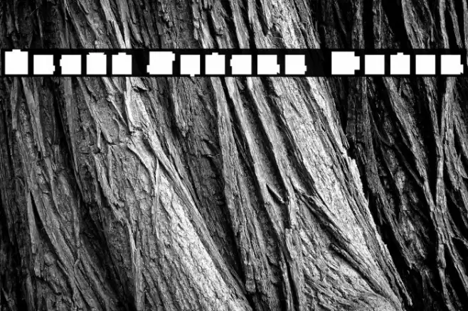 Heavy Square  Color Font examples