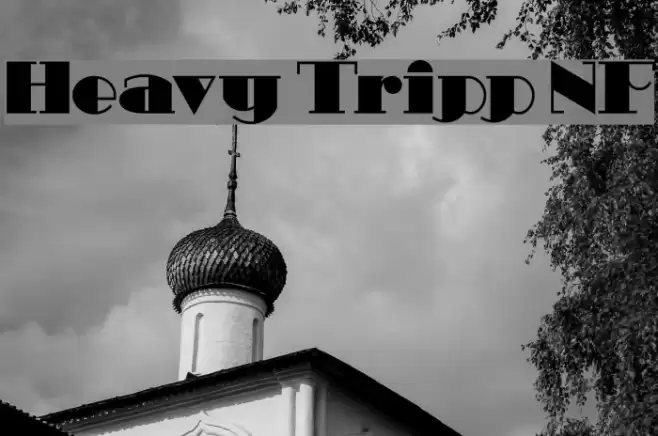 Heavy Tripp NF Polices examples