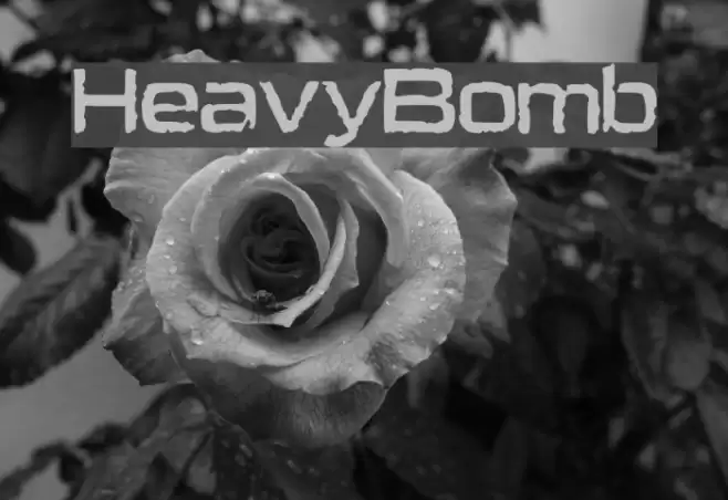 HeavyBomb Caratteri examples