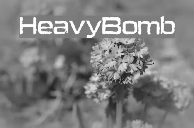 HeavyBomb Caratteri examples