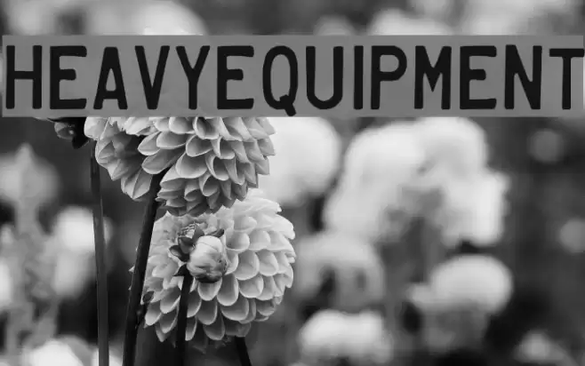 HeavyEquipment Font examples